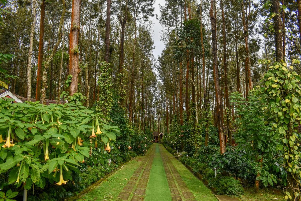 Coffee Grove Resort Chikmagalur Ngoại thất bức ảnh