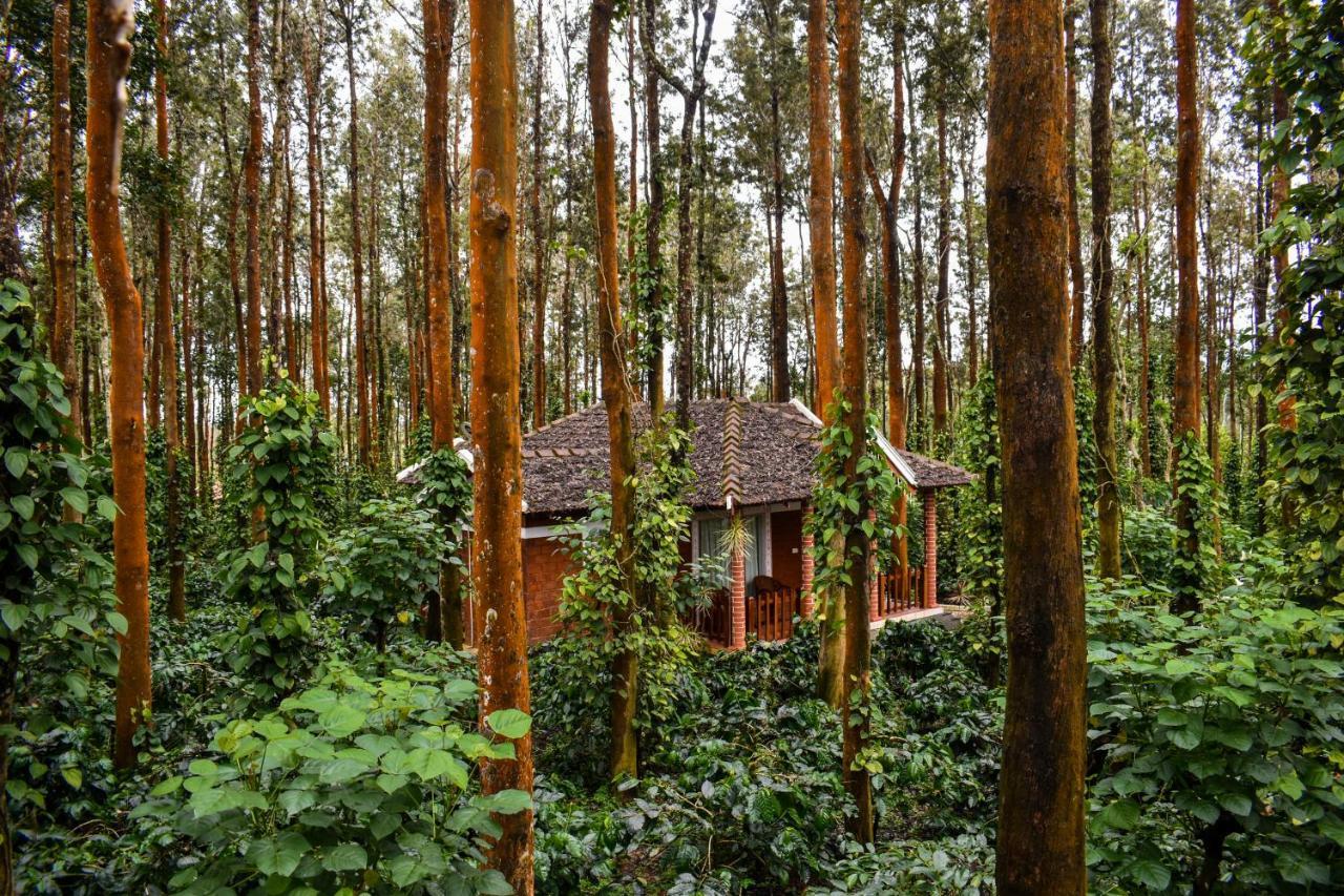 Coffee Grove Resort Chikmagalur Ngoại thất bức ảnh