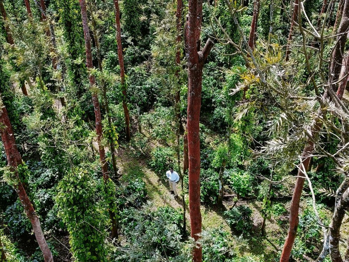 Coffee Grove Resort Chikmagalur Ngoại thất bức ảnh