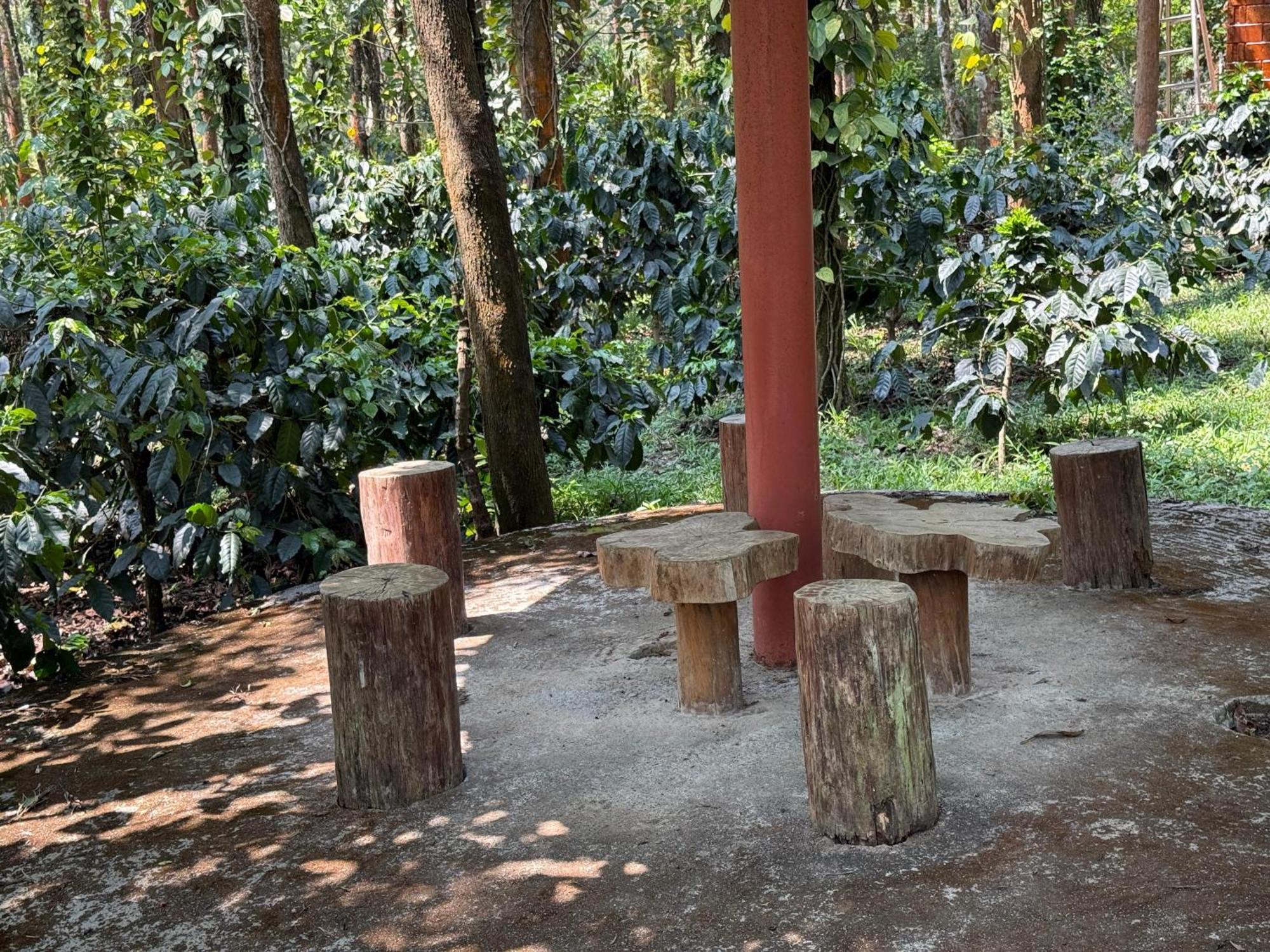 Coffee Grove Resort Chikmagalur Ngoại thất bức ảnh